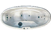 The Vitalizer - Click for details!